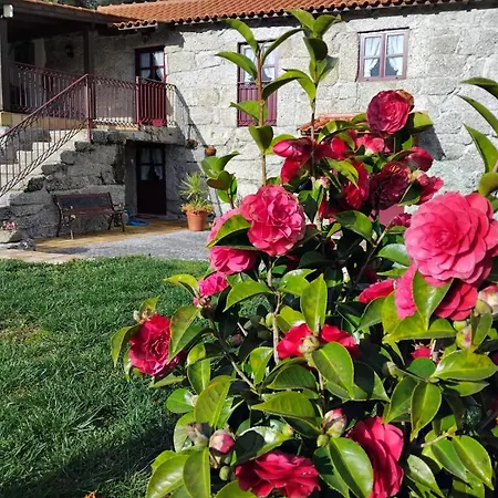 Holiday home Quinta Netas